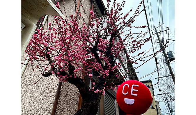 桃の節句