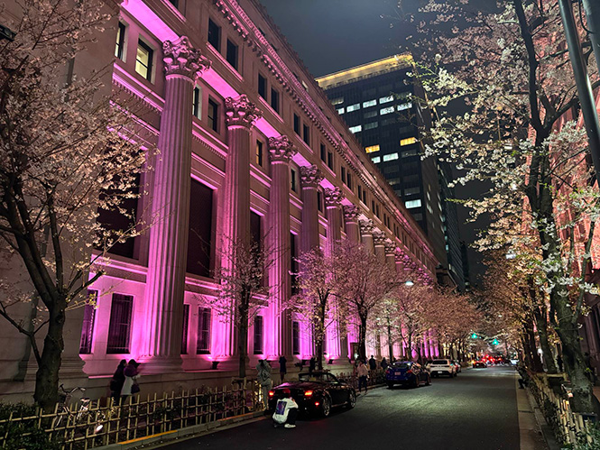日本橋桜フェスティバル2025