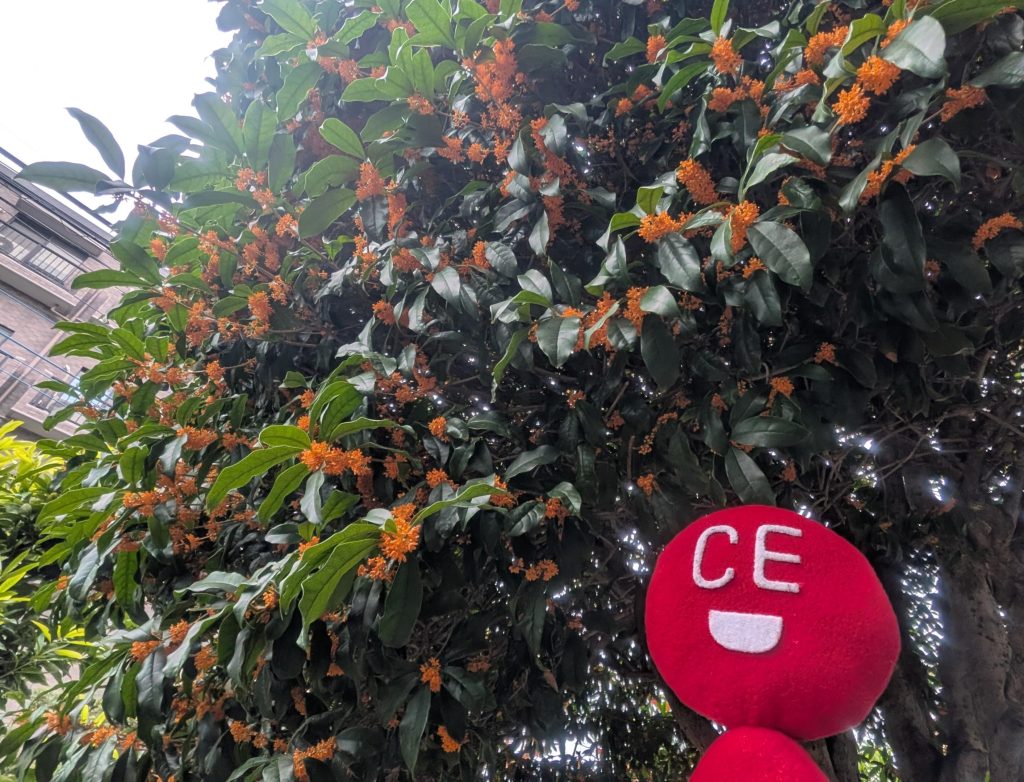 金木犀のいい香り