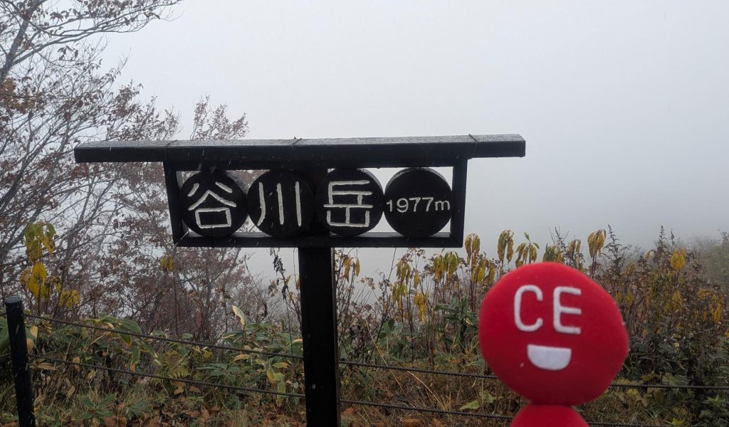 ぎりぎりの夏休み