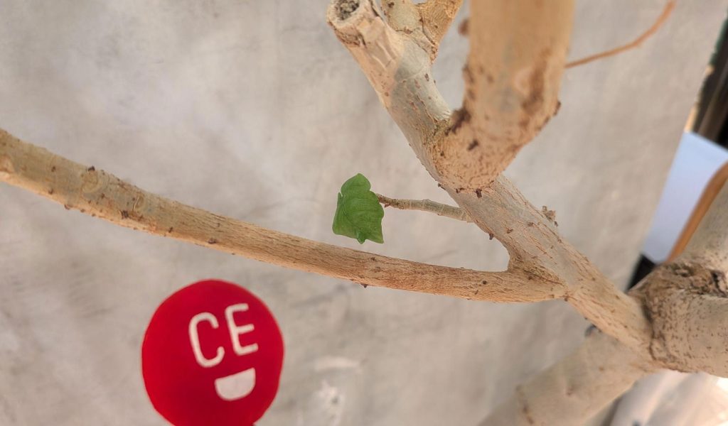 赤ん坊みどりちゃん