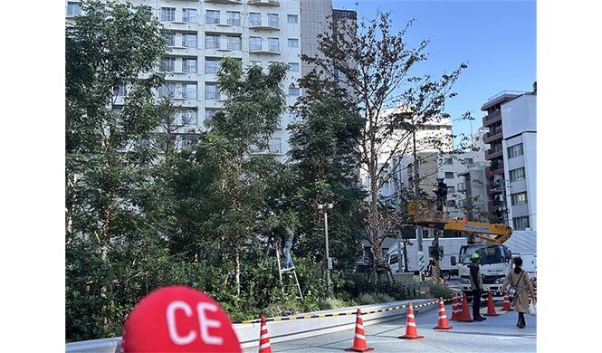 イルミネーションの準備