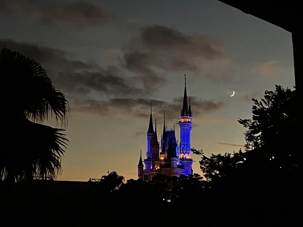 クリスマス　ディズニー⛄