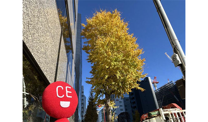 自然の色が素敵すぎ