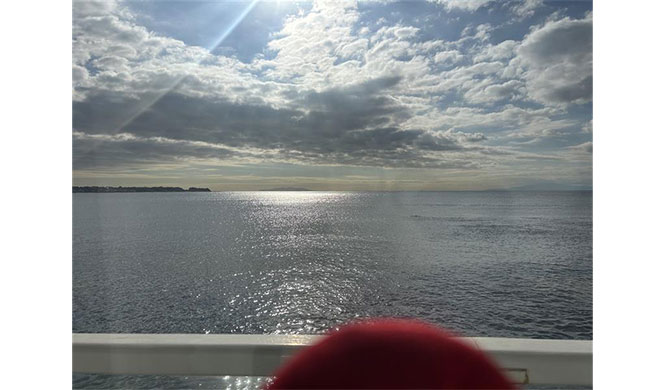 暖かい日が続きます