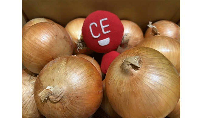 淡路島のたまねぎ！