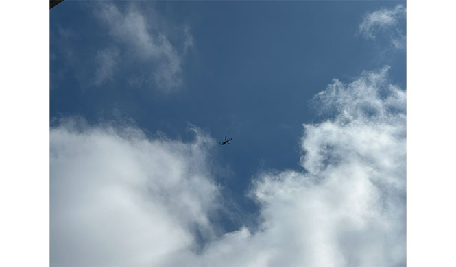 ここにいるよー