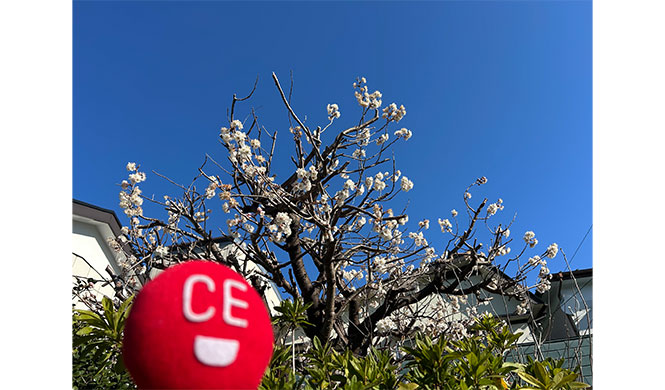 15年目を迎えました